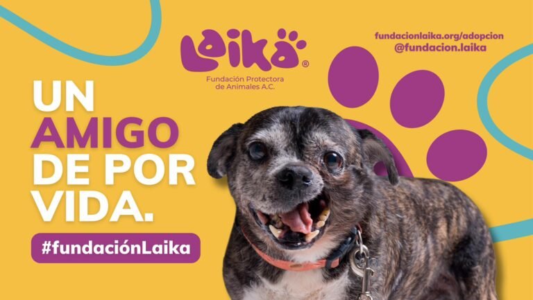 Esta Navidad NO COMPRES UNA MASCOTA…Adopta.