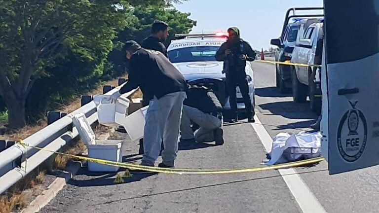 Localizan restos humanos en tres hieleras en el Libramiento Culiacán