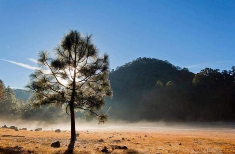 Alerta Meteorológica: Sinaloa se prepara para un descenso térmico y la llegada de una nueva tormenta invernal.