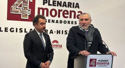 Adán Augusto se va de la coordinación de la bancada de morena en el senado