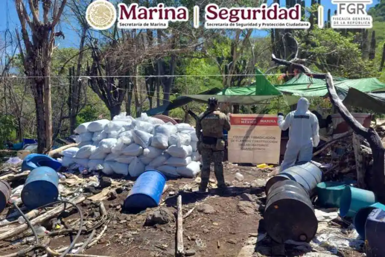 Aseguramiento e inhabilitación histórica de narcóticos en territorio sinaloense